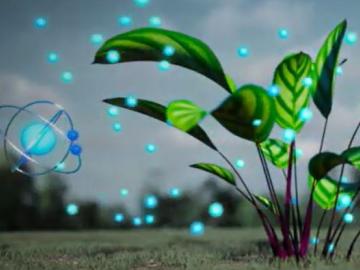 Animated graphic with a plant on the right, blue sphere on the left and blue glowing dots scattered throughout. 
